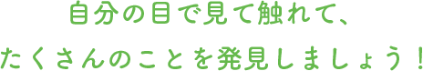 自分の目で見て触れて、たくさんのことを発見しましょう！